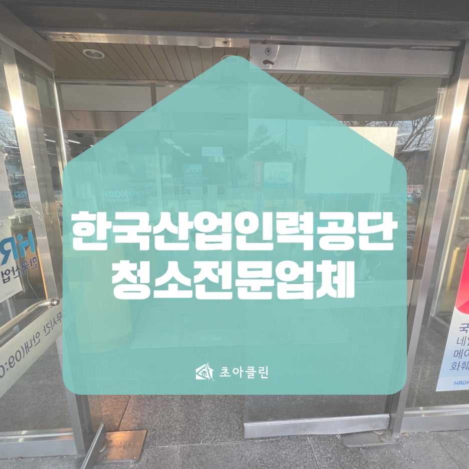 초아클린 이미지