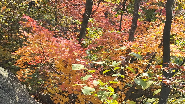 20221023_133215.jpg