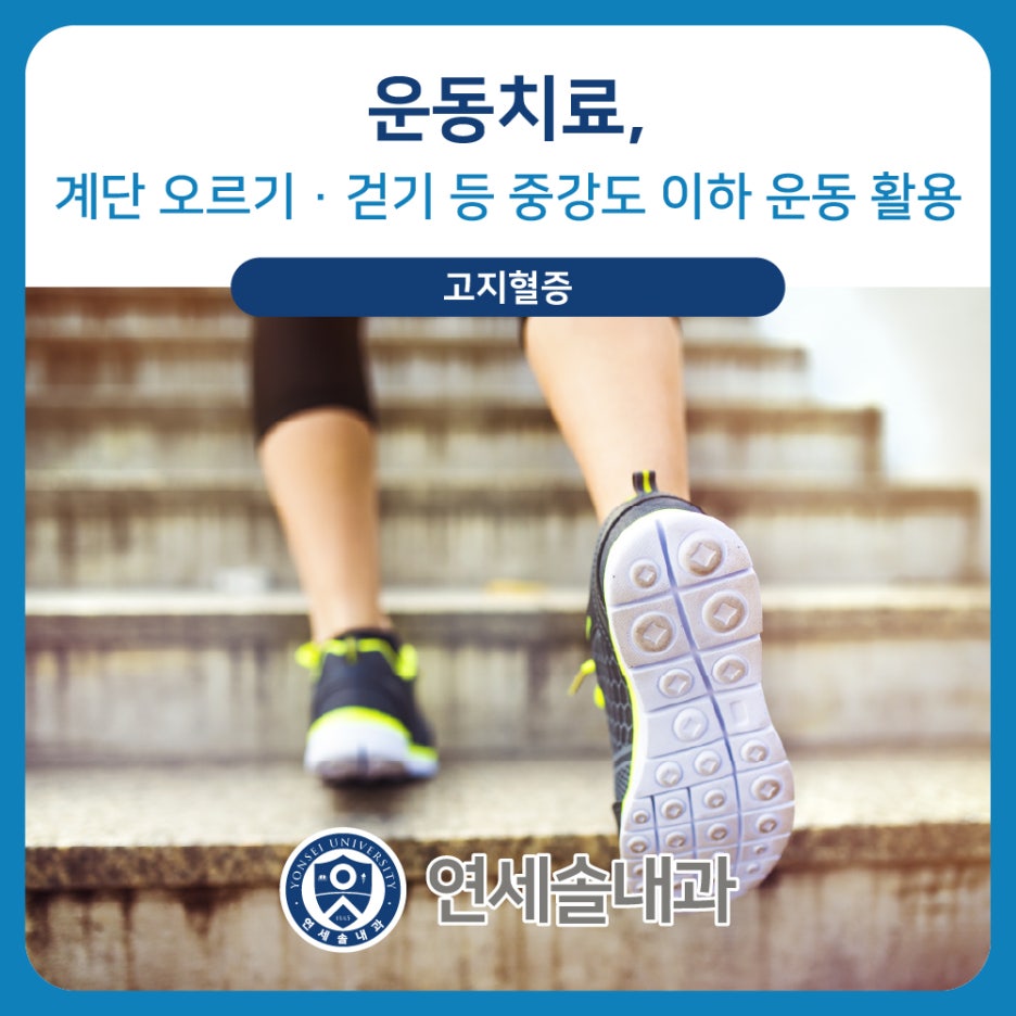 연세솔내과의원 이미지