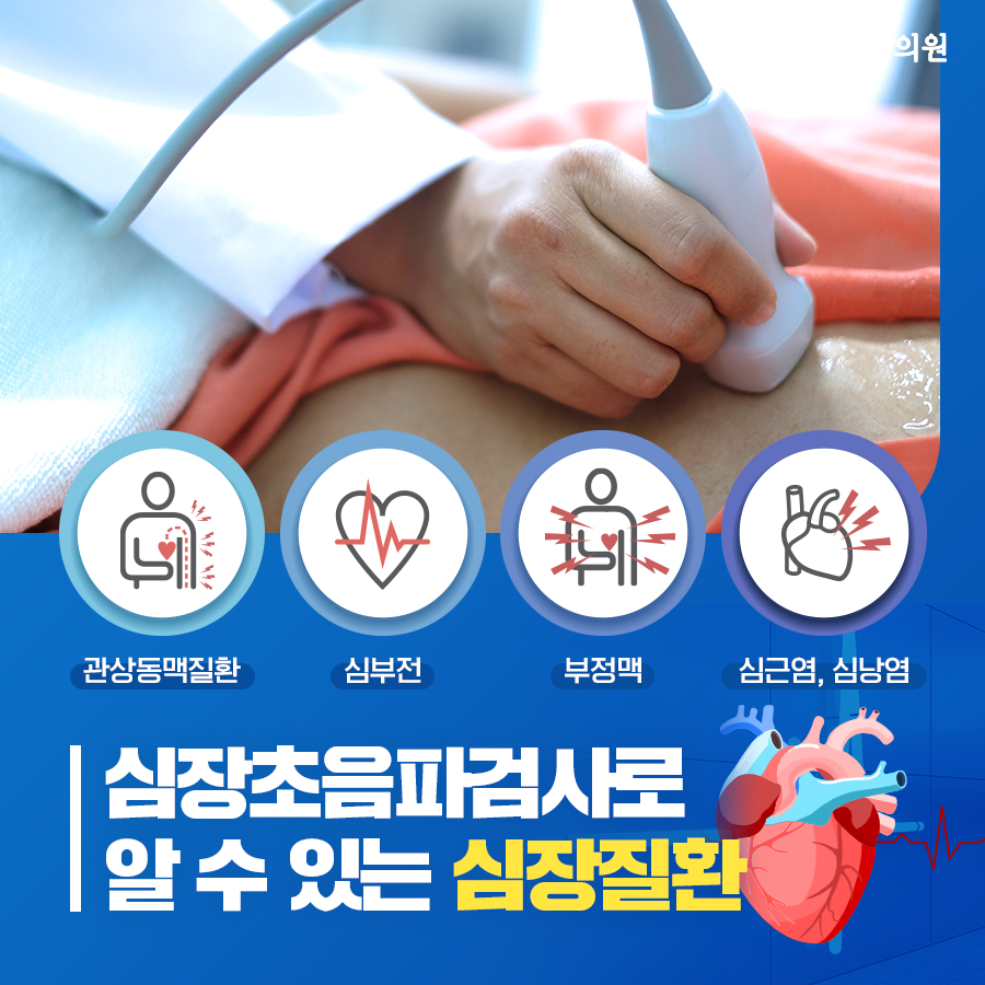 독일하트의원 이미지