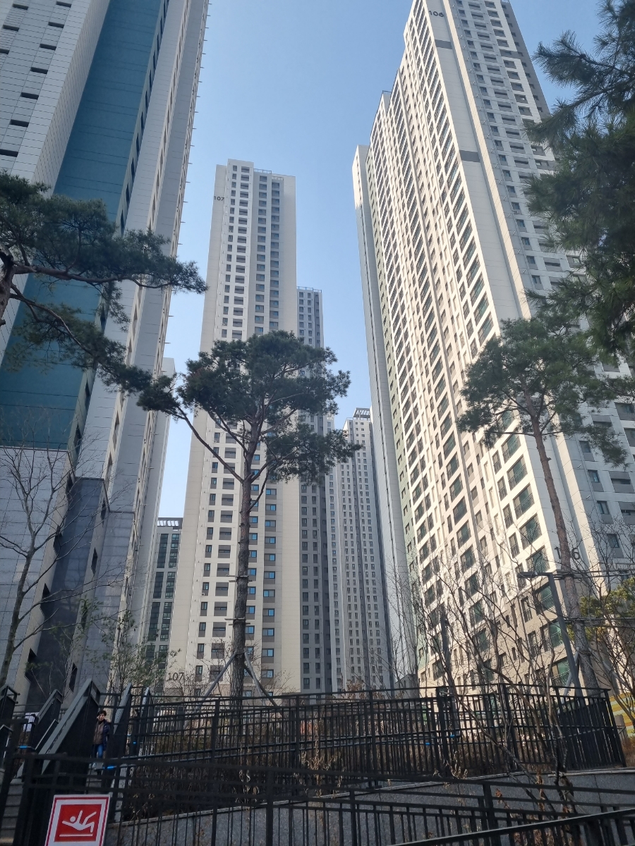 모닝취업정보 이미지
