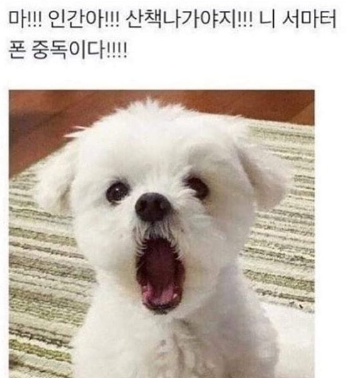 스마트컴퓨터나라 이미지