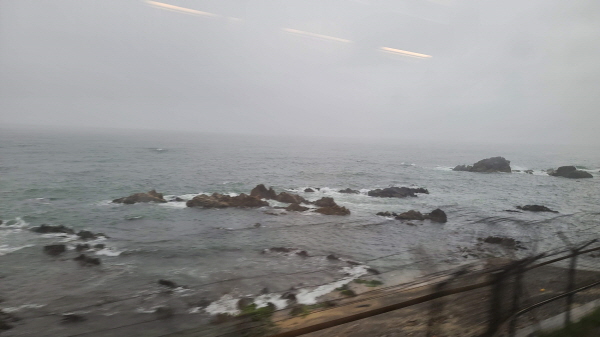 20220831_090930.jpg