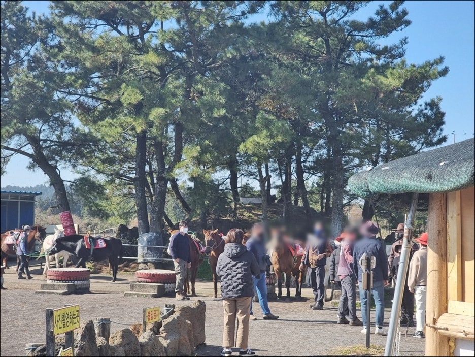 제주렌트로 이미지