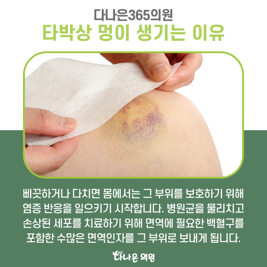 다나은365의원 이미지