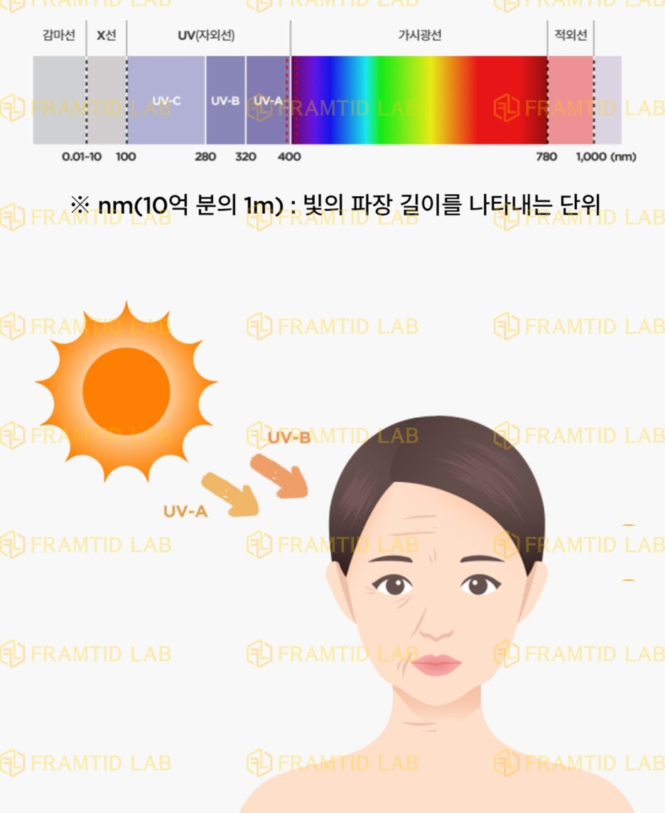 프람티드랩창원지사 이미지