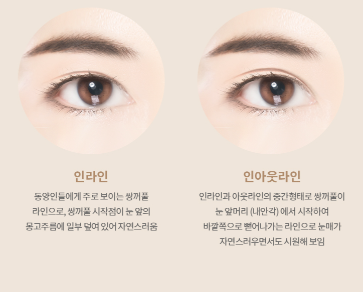 라이블리성형외과의원 이미지