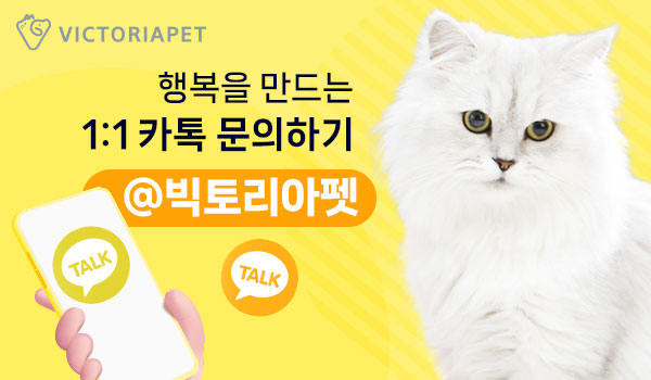 빅토리아 사진 5