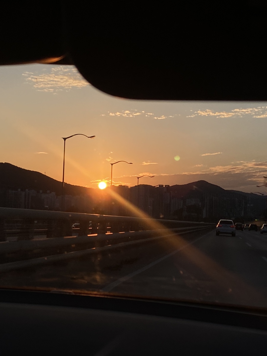 거북이복집 이미지