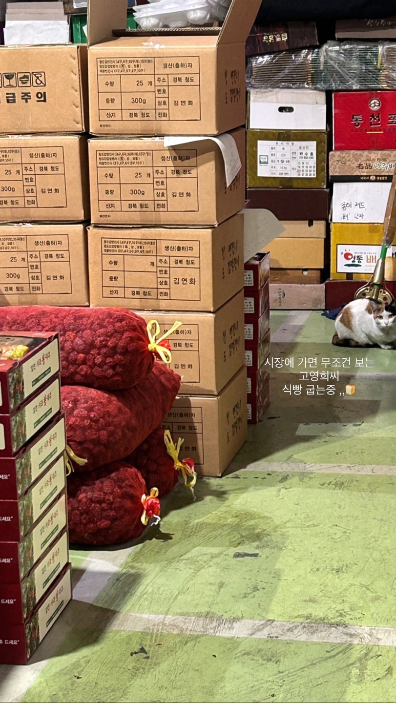 햇살과일 이미지