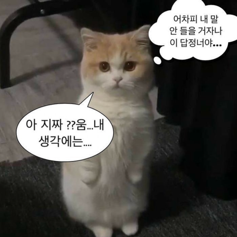 이아이투어 이미지