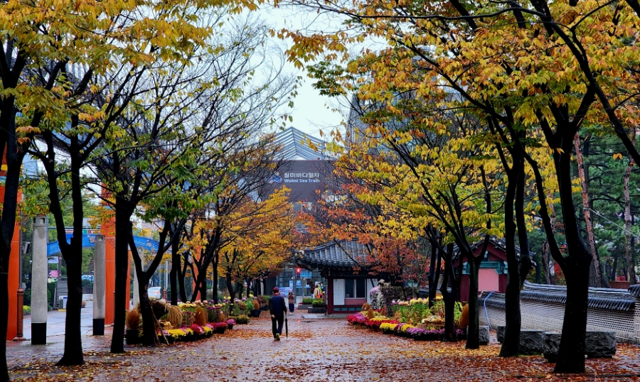 인천중구문화재단 이미지