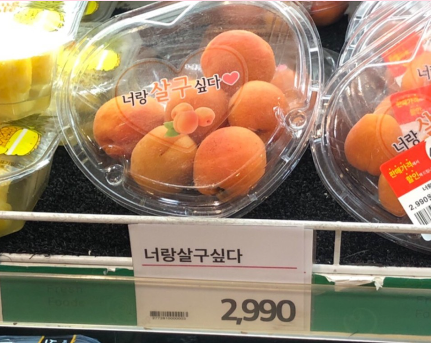 프롬에덴 이미지