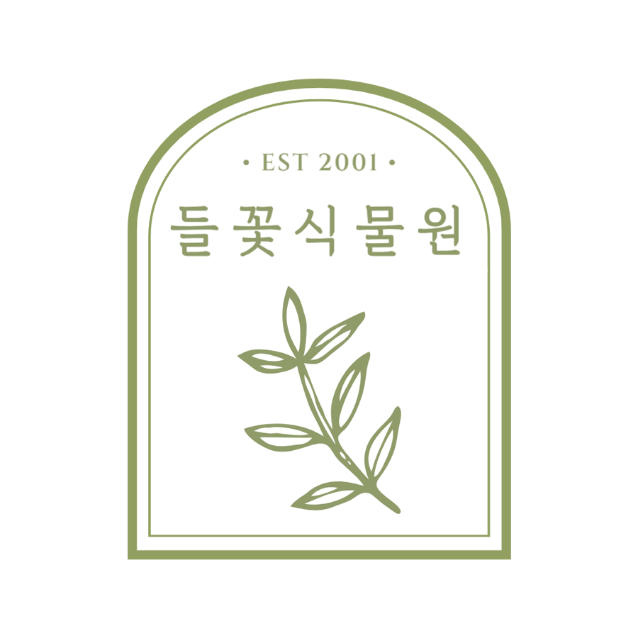 들꽃다육식물 이미지