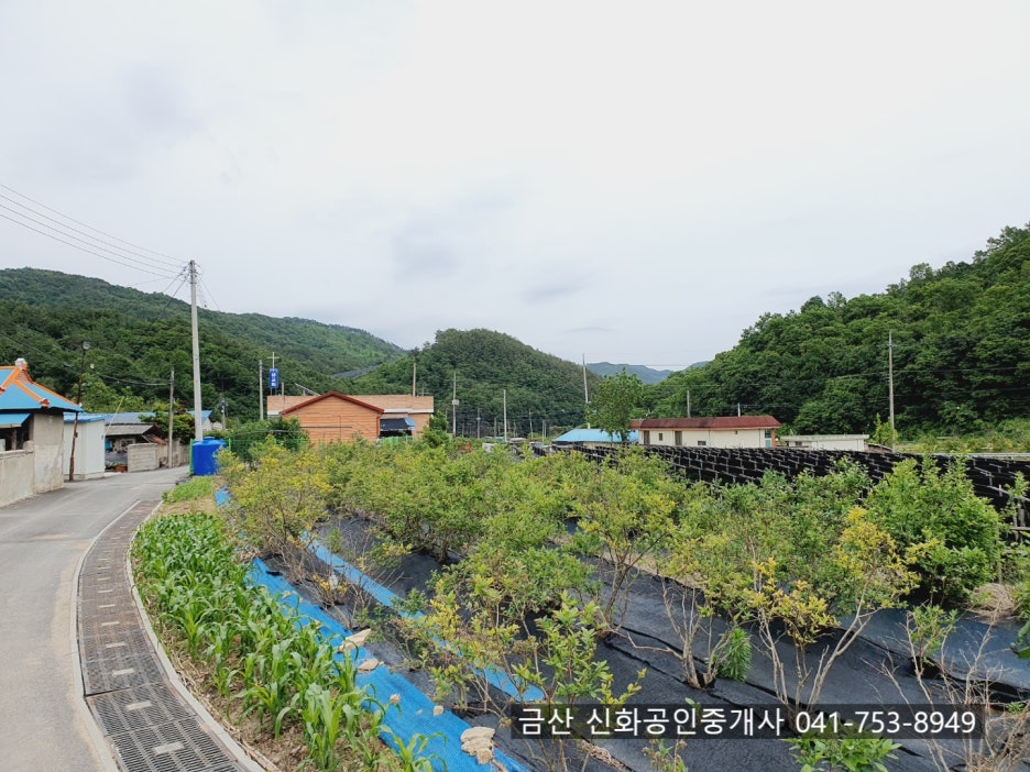 통영자갈마당 이미지
