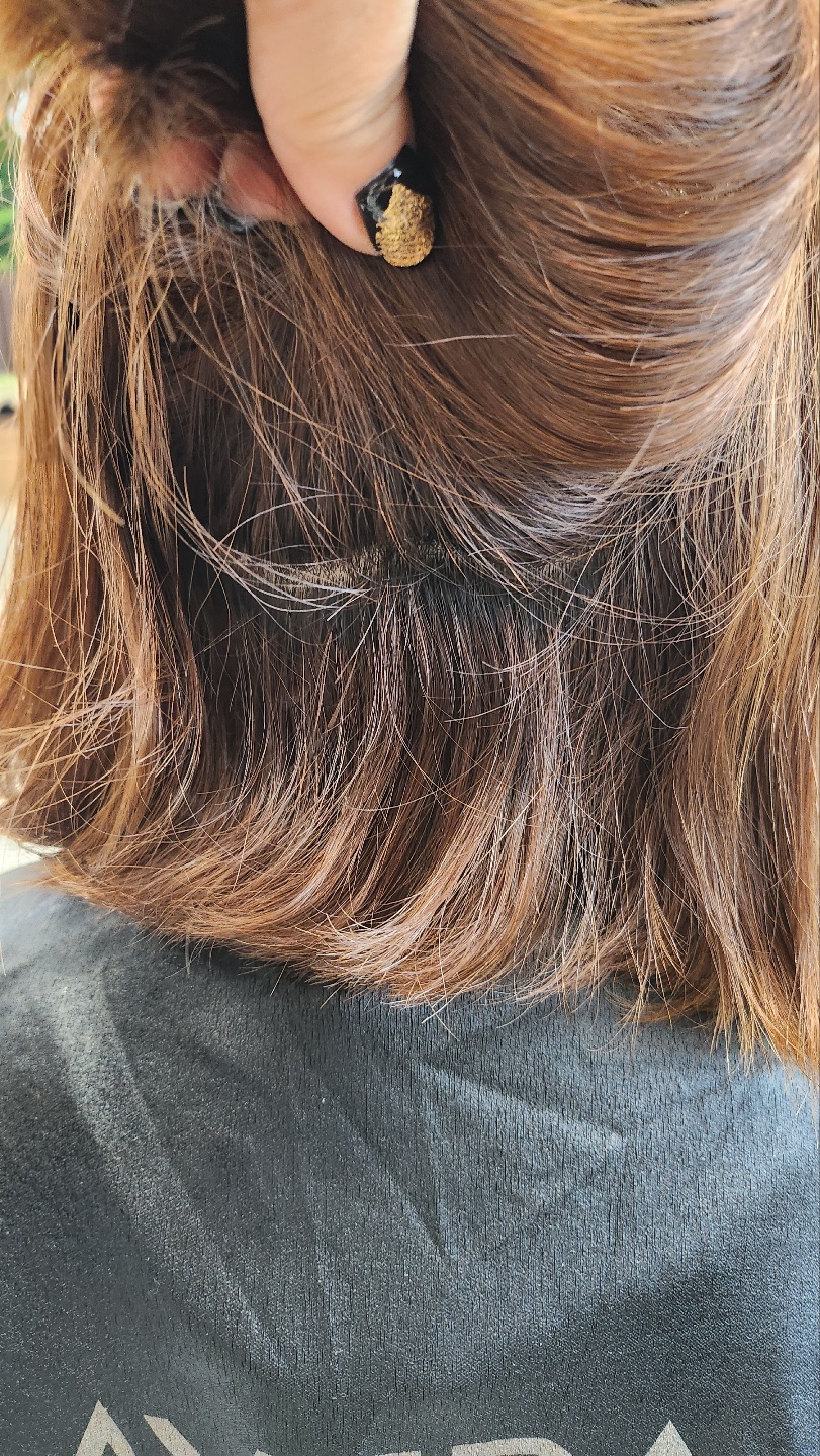부티크 라보떼 이미지