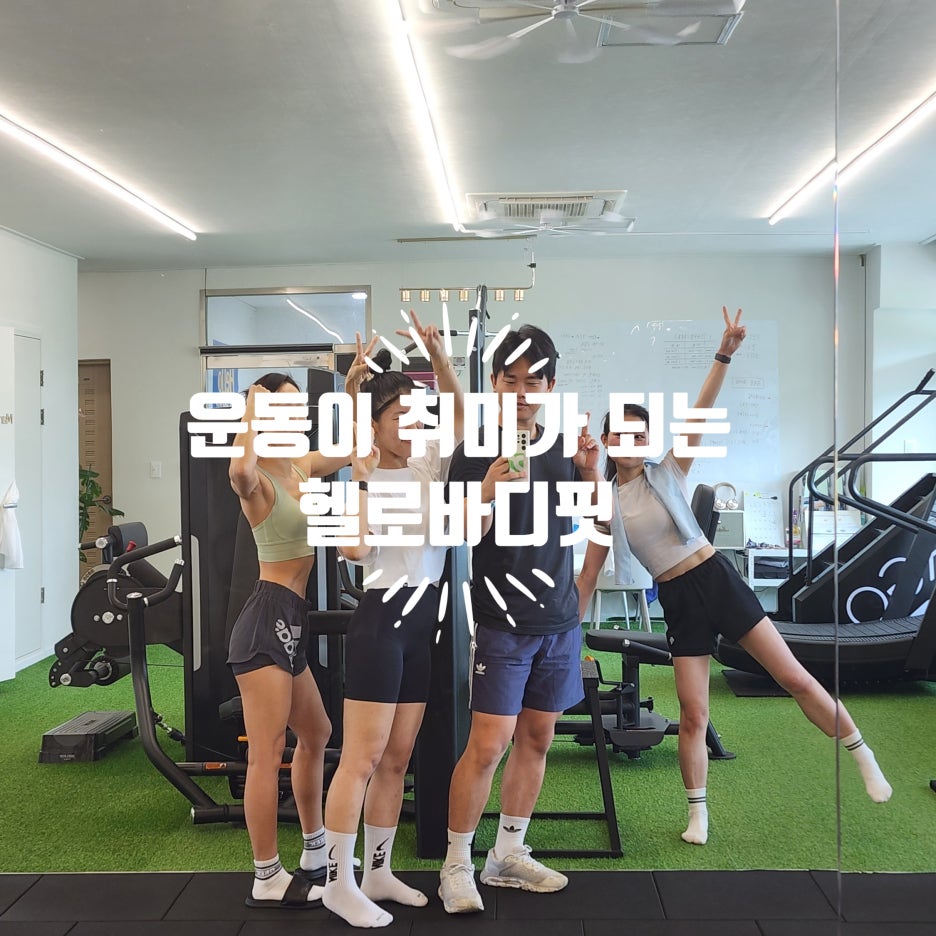 바디핏 이미지