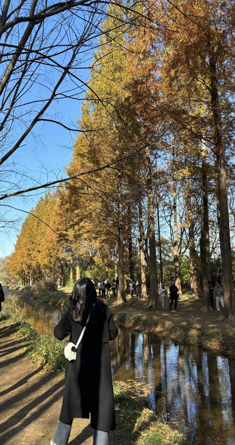 경주산책 이미지