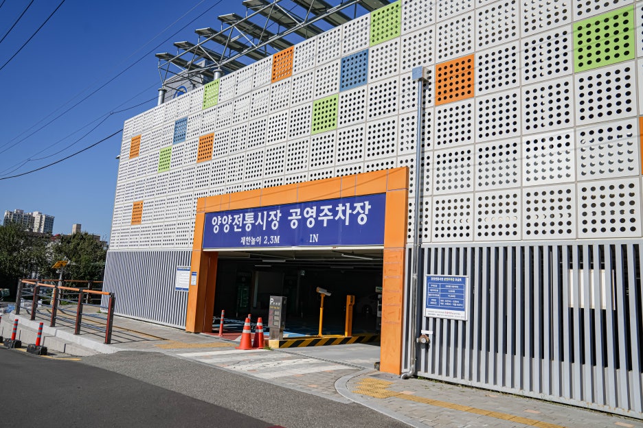 양양놀자 이미지