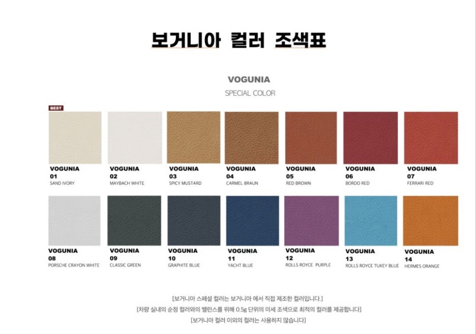 보거니아 이미지