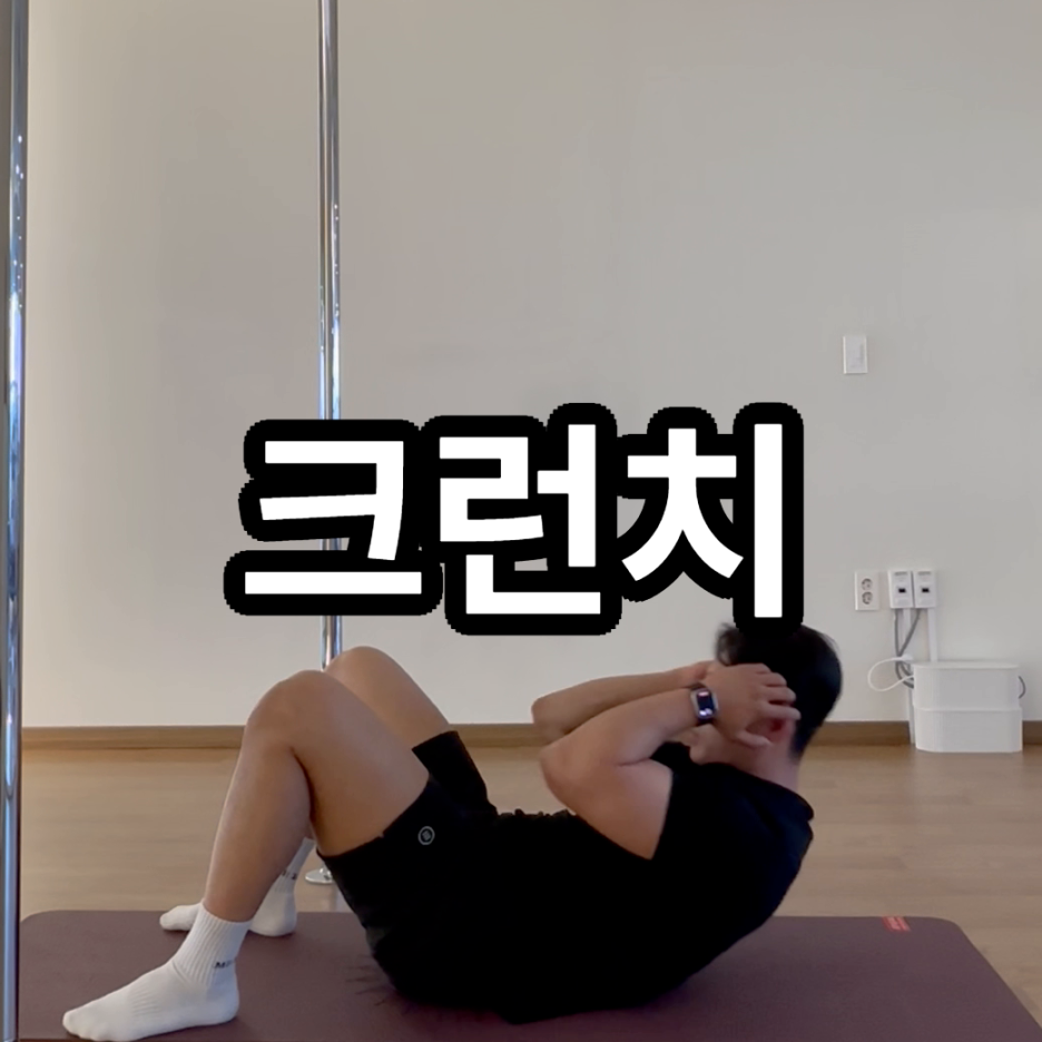 미드미짐 이미지