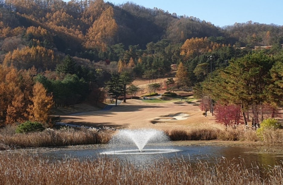 메디칼 밸리 이미지