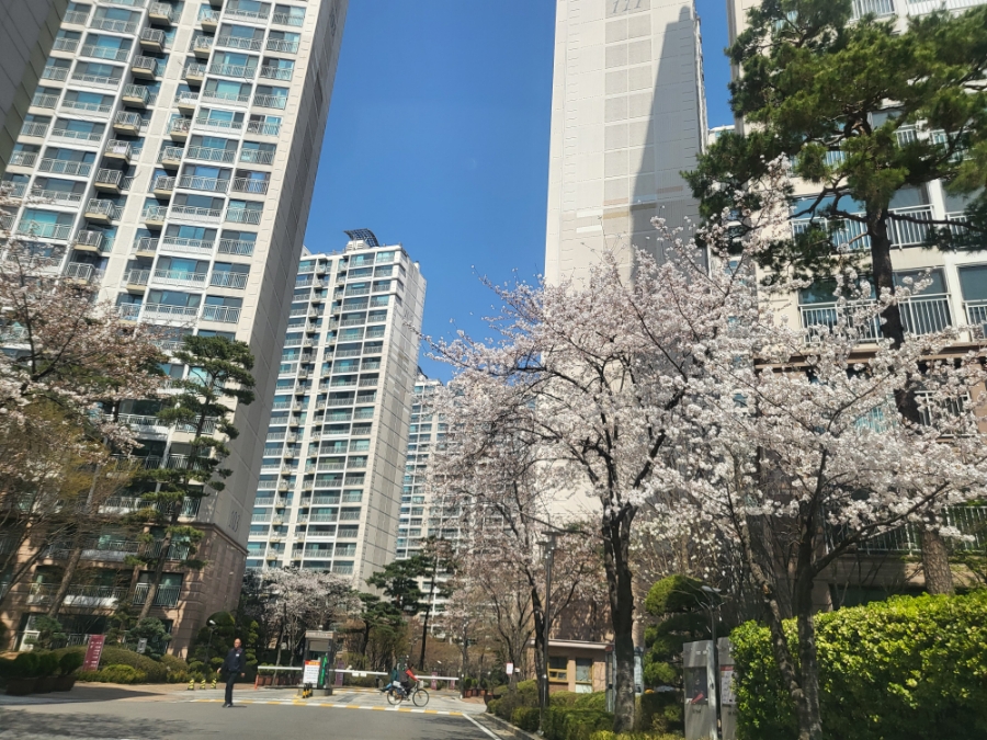 오케타니가정방문센터잠실 이미지
