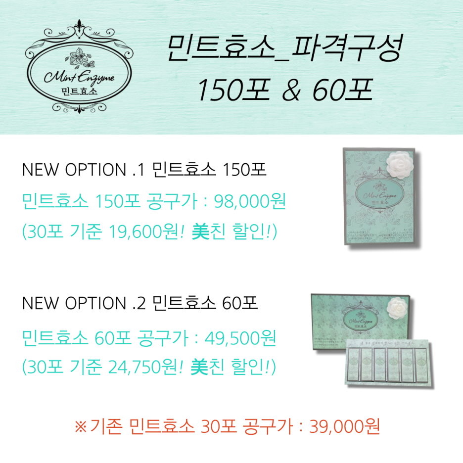 민트42 이미지