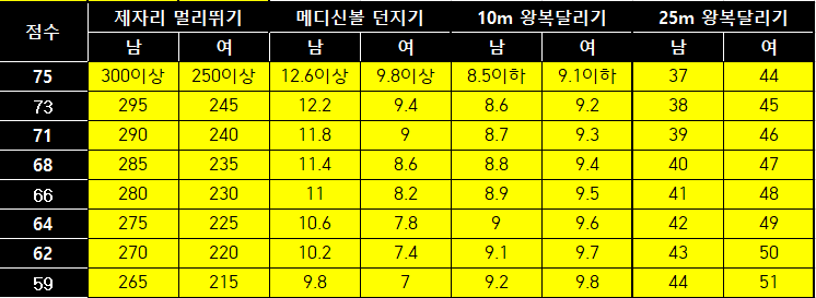 체안미 이미지