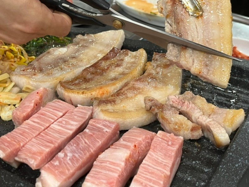 오레시피안산 이미지