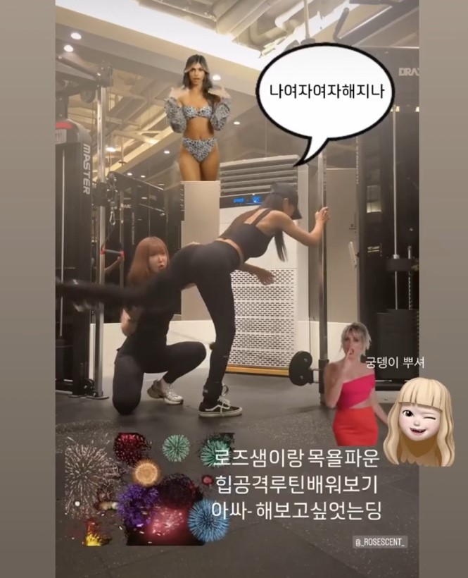 로즈(Rose) 이미지