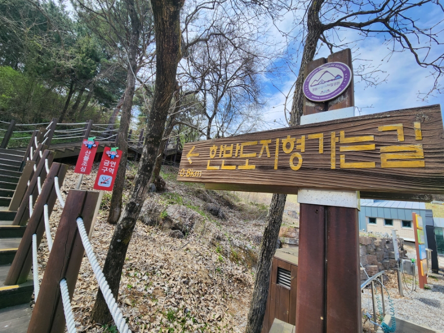 사진 5
