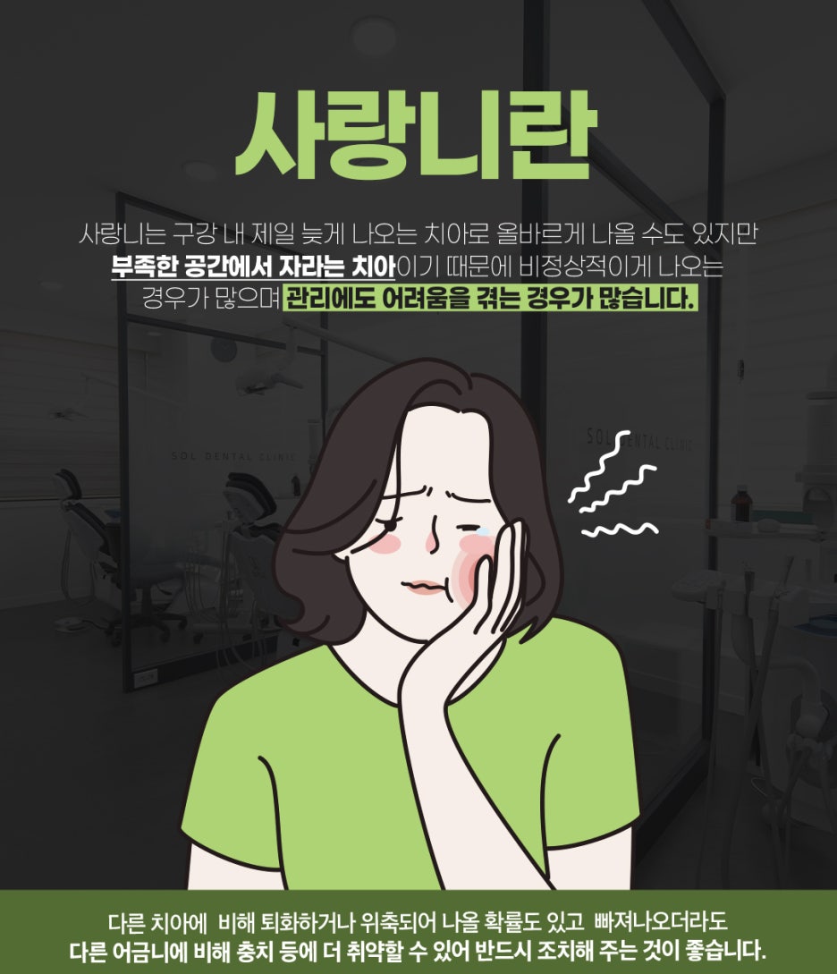 솔치과 이미지
