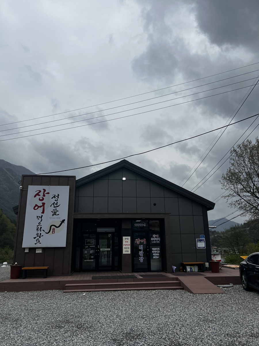 정선애장어먹으러와요 이미지