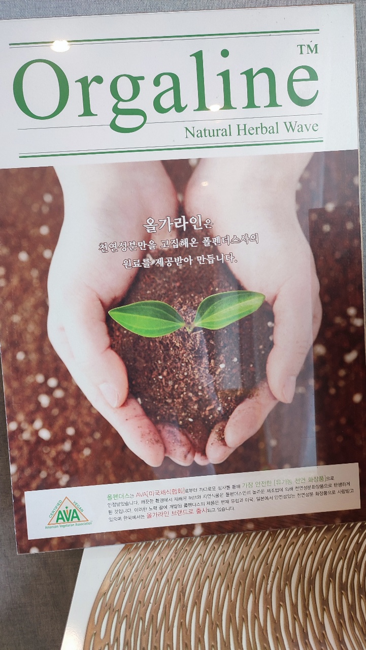 올가라인 이미지