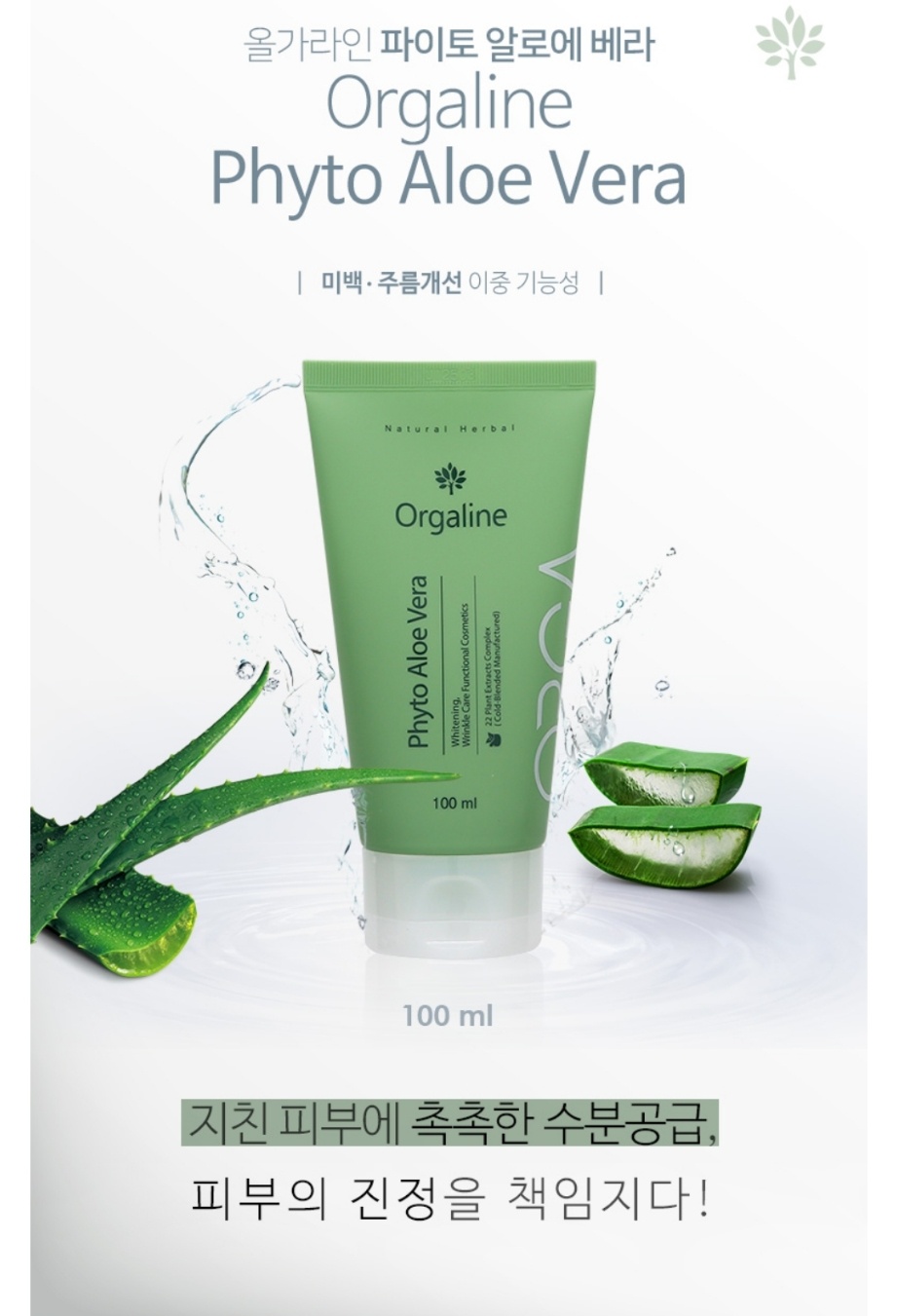 올가라인 이미지
