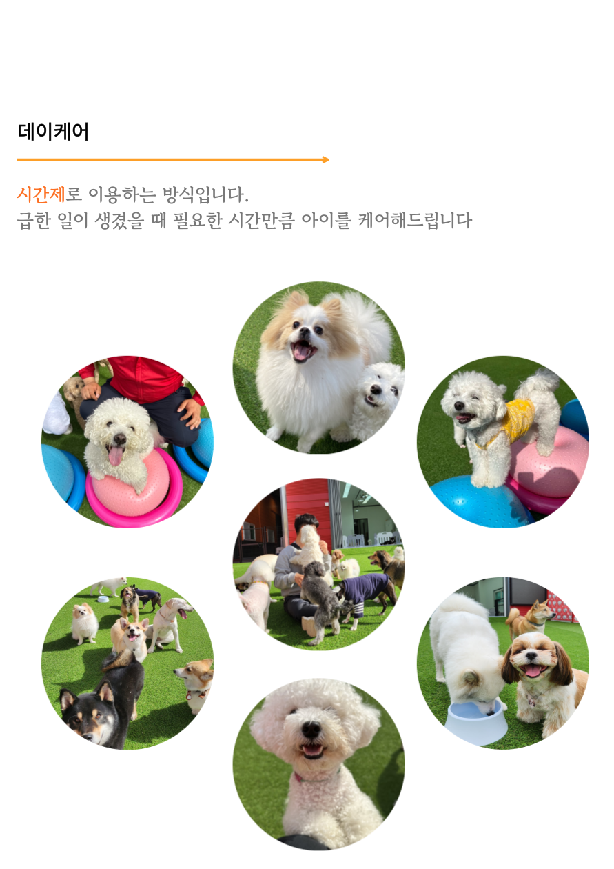 사진 2