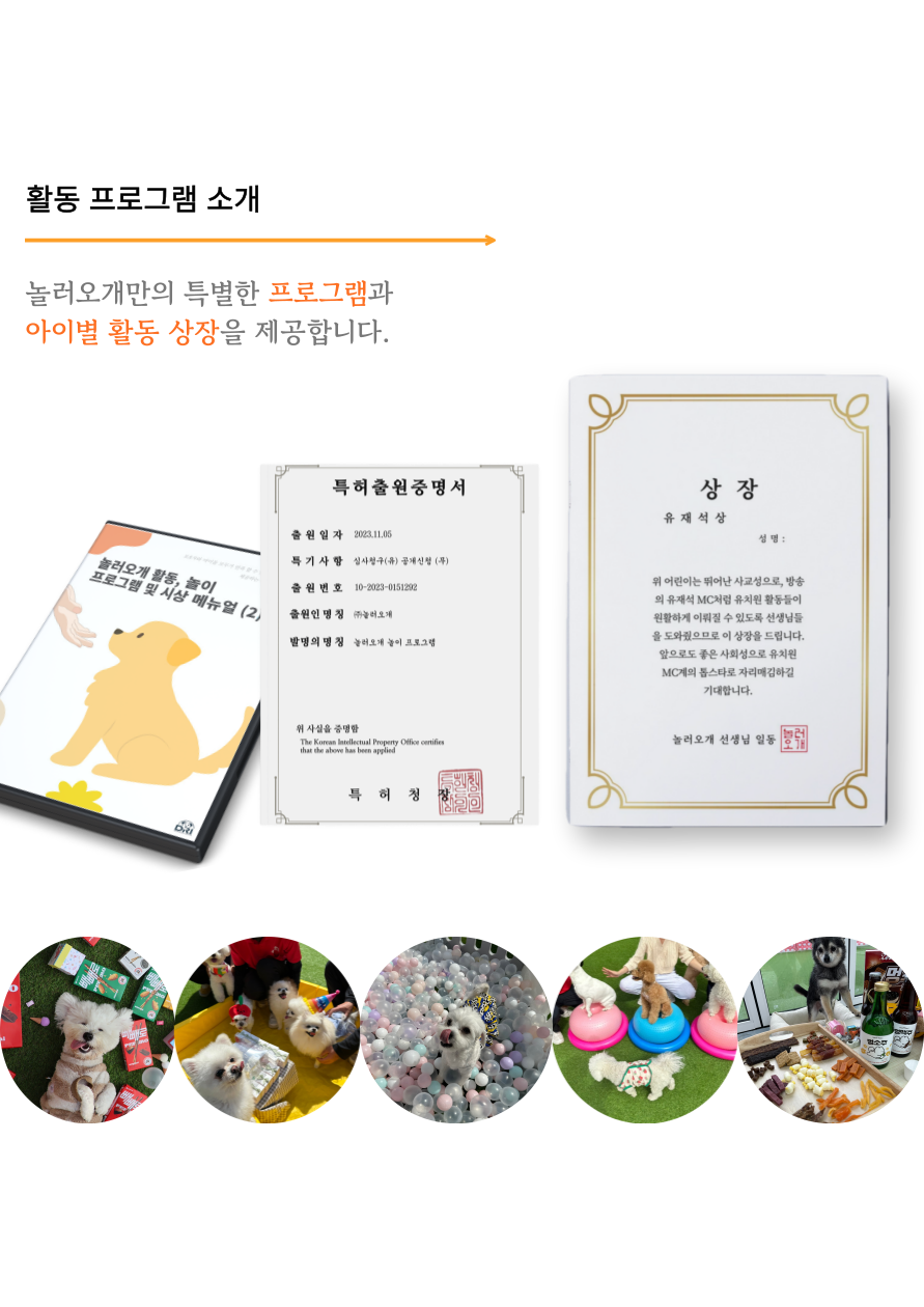 사진 7