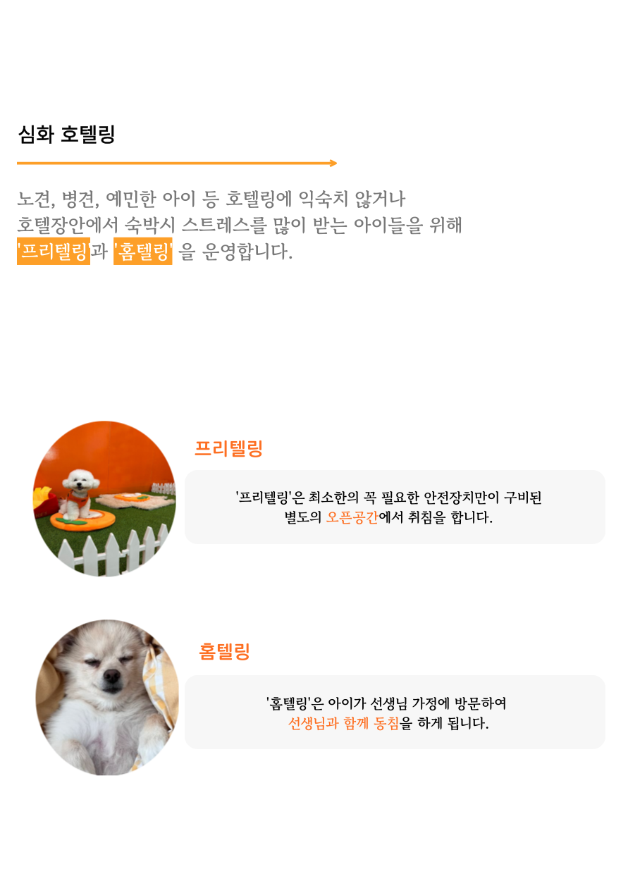 놀러오개 애견유치원 애견호텔 화성 병점진안점