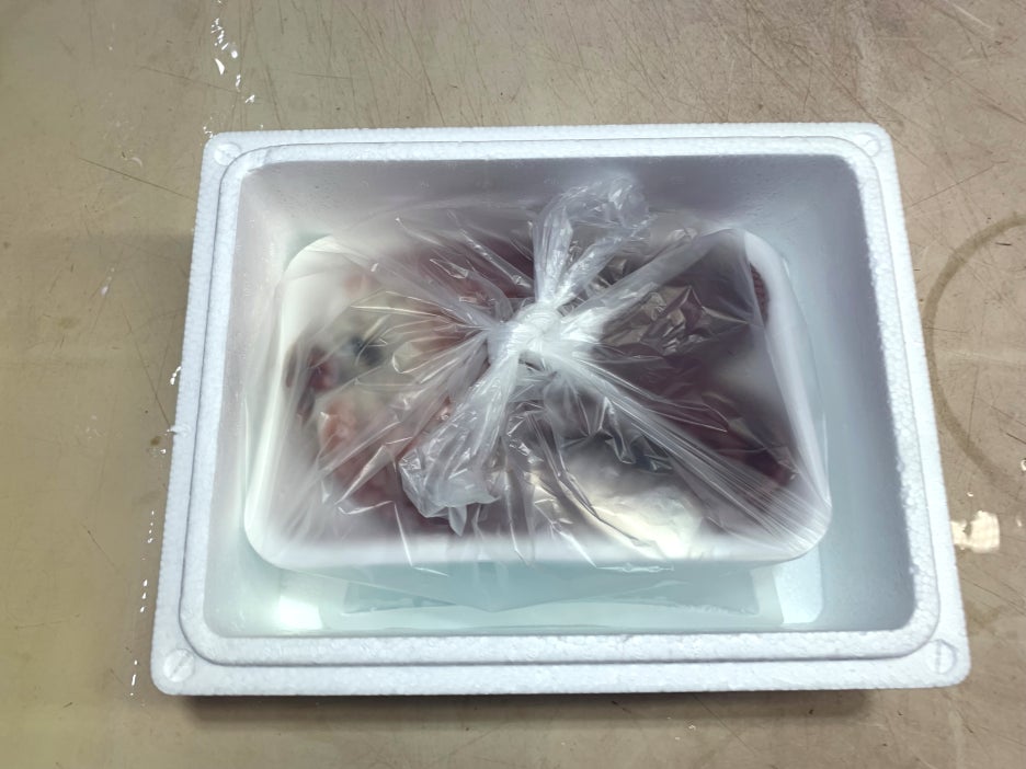 문어상회 이미지
