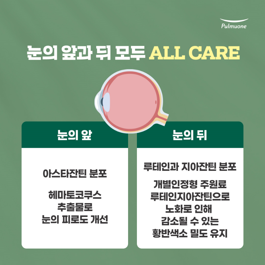 스마트안 이미지