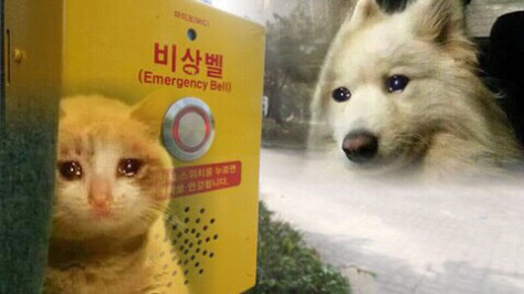브이호스텔 이미지