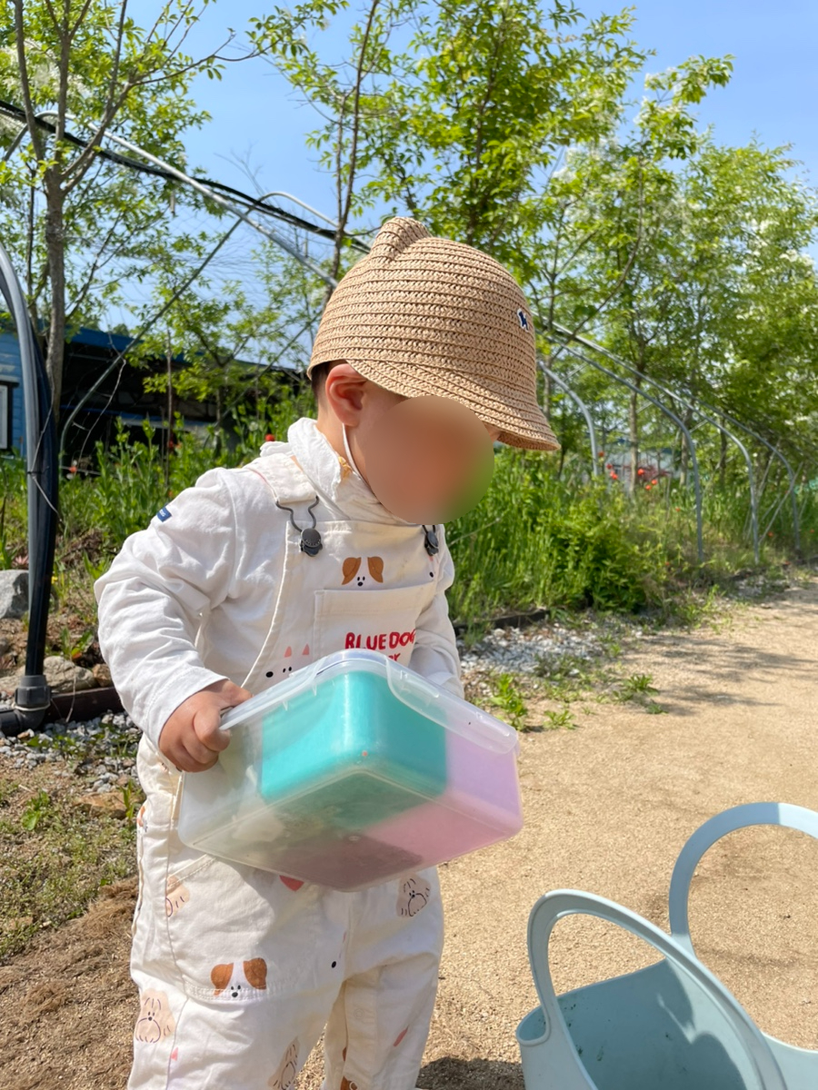 오리용 이미지