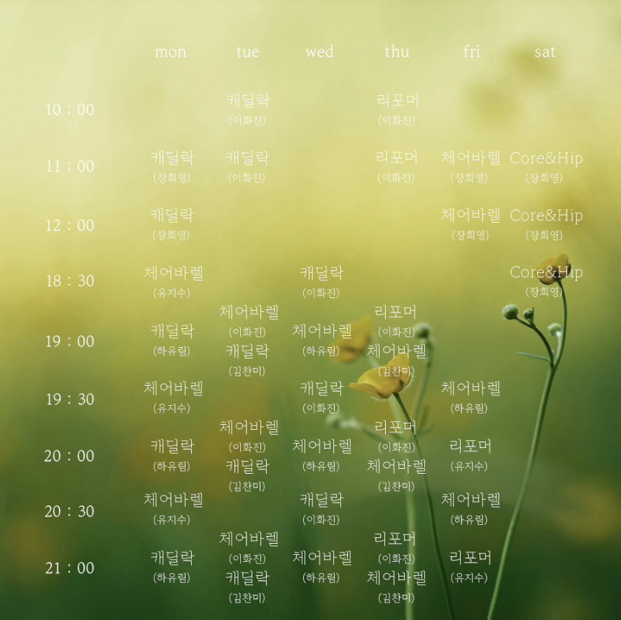 에이플러스2 이미지