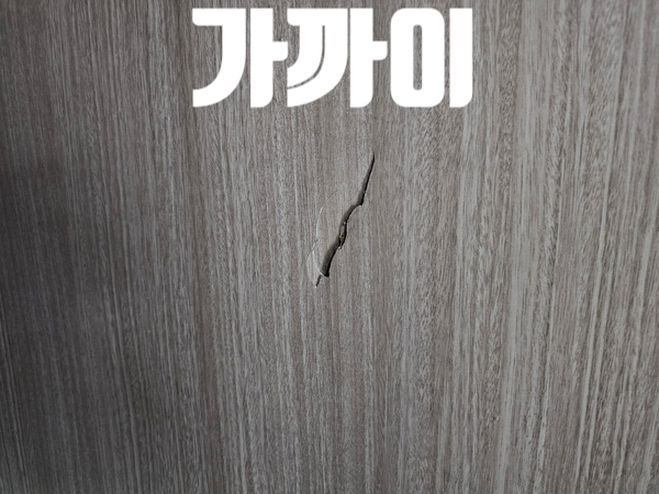 세종기술단 이미지