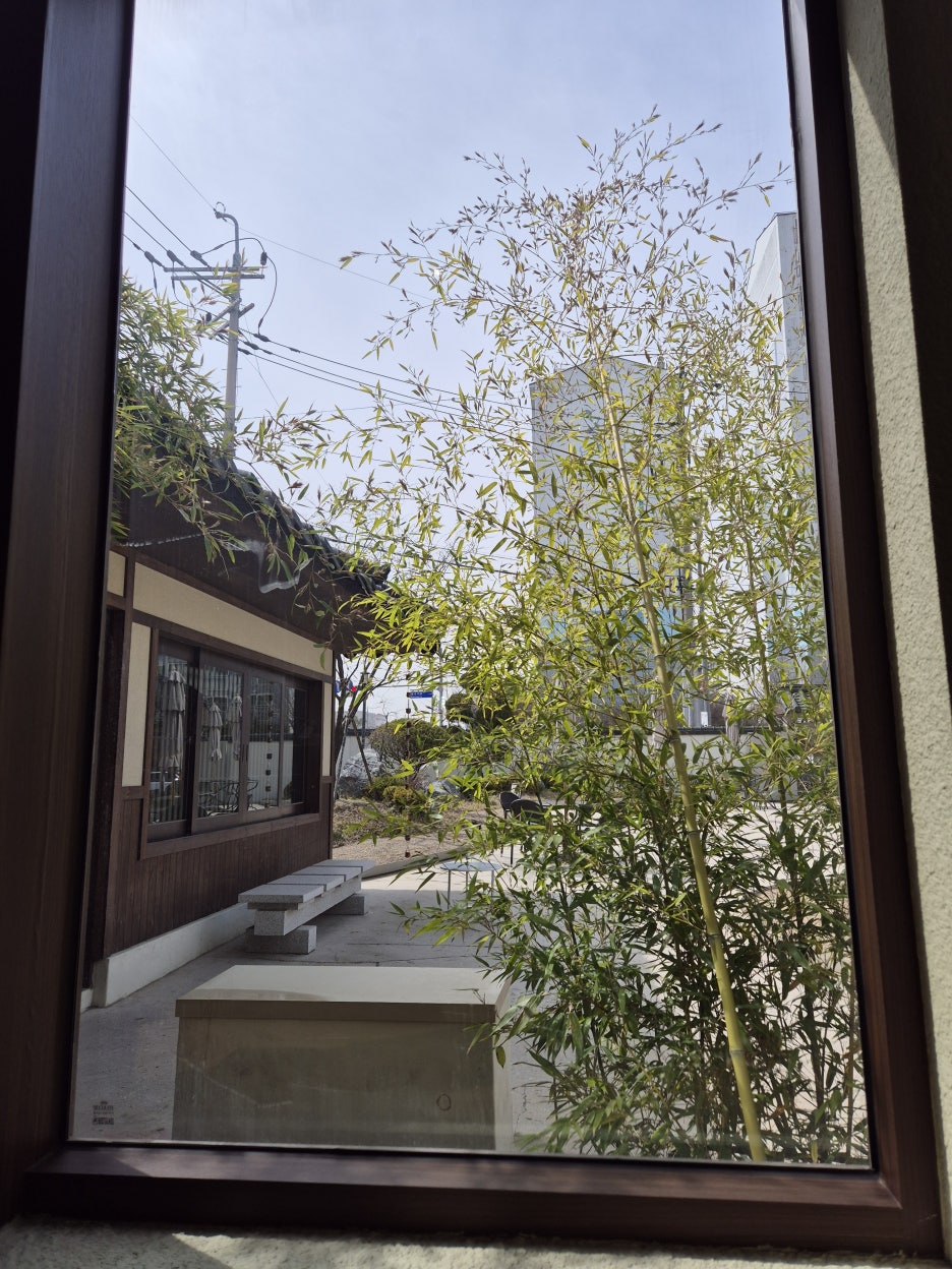 고목림 이미지