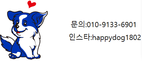 해피독반려견방문교육 이미지