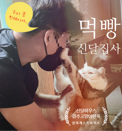 신달하우스 이미지