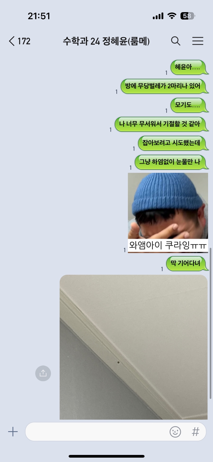 방충망영웅 이미지