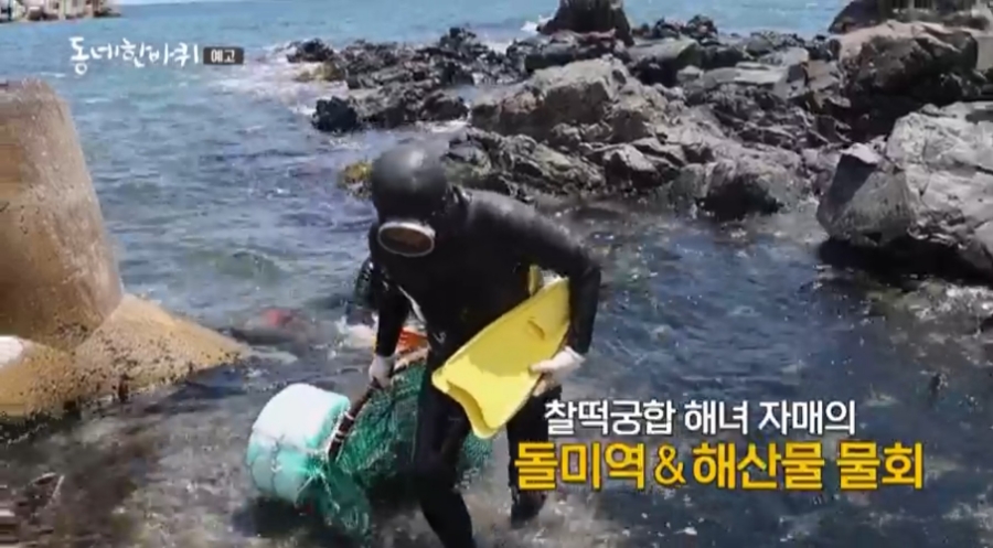 자매물회 이미지
